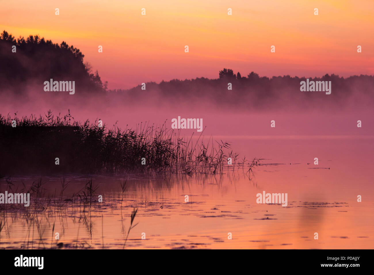 Fog over lake sun hi-res stock photography and images - Alamy