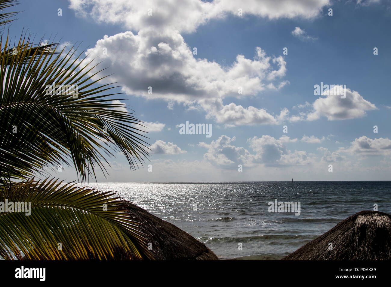 Clouds Floating In The Sky Over The Ocean With Palm Tree Leave In The Foreground Stock Photo Alamy Clouds Floating In The Sky Over The Ocean With Palm Tree Leave In The Foreground Stock Photo Alamy