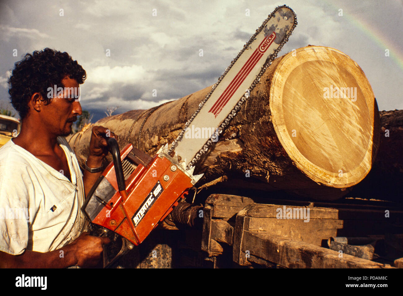 Logging, Amazon rainforest deforestation, transportation of heavy and