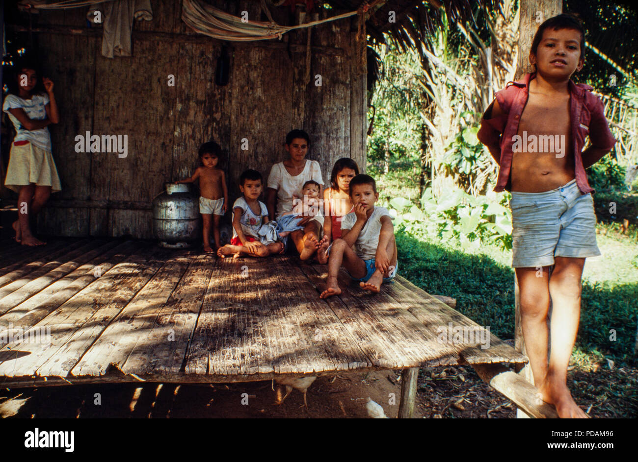 Brazilian Amazon riverine family - ribeirinho, those who live near the rivers and have artisanal fishing as the main survival activity and also cultivate small clearings for own consumption and can practice extractive activities - Amazonas State, Brazil. Stock Photo