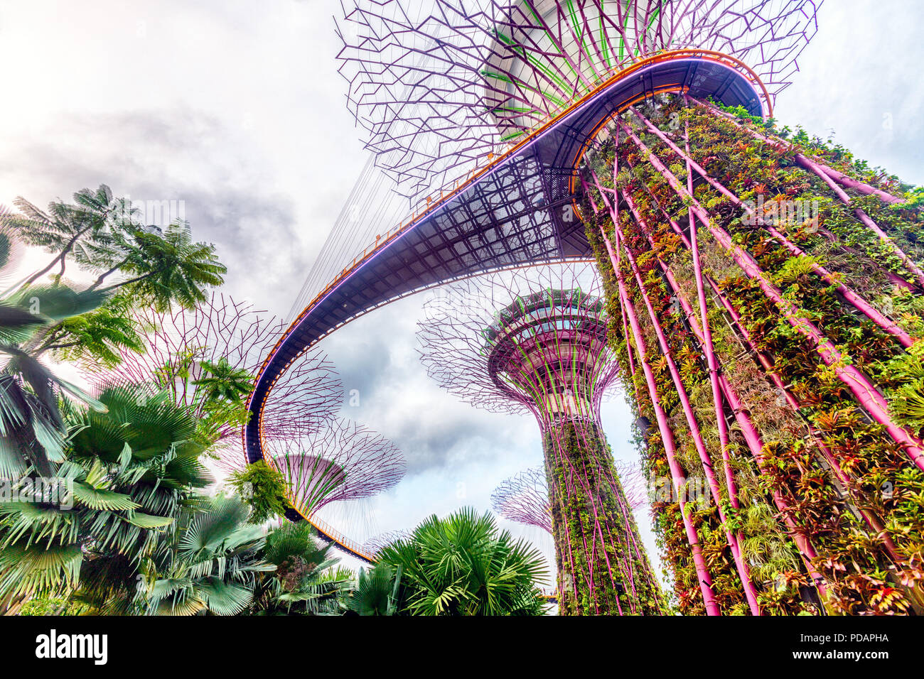 singapore-marina-bay-gardens-by-the-bay-the-supertree-grove-stock