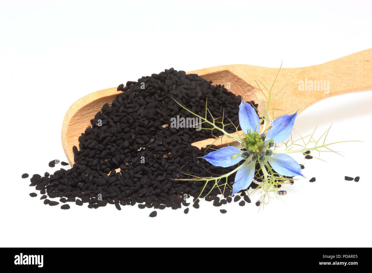 Medicinal plant Nigella sativa, black caraway, also known as black cumin, nigella Stock Photo