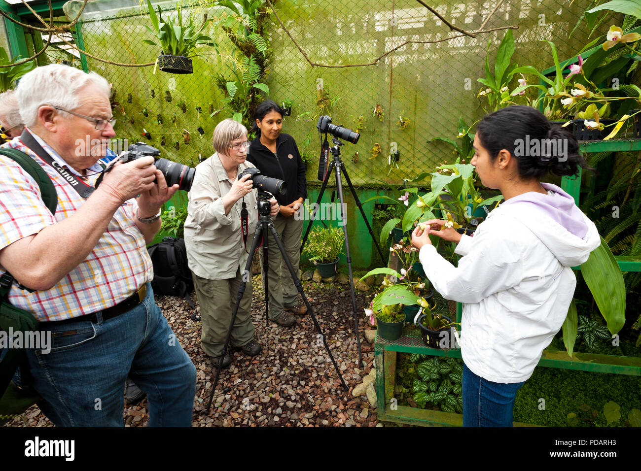 Nature tourists are being guided and educated by an orchid expert at Finca Dracula, Cerro Punta, Chiriqui province, Republic of Panama. Stock Photo
