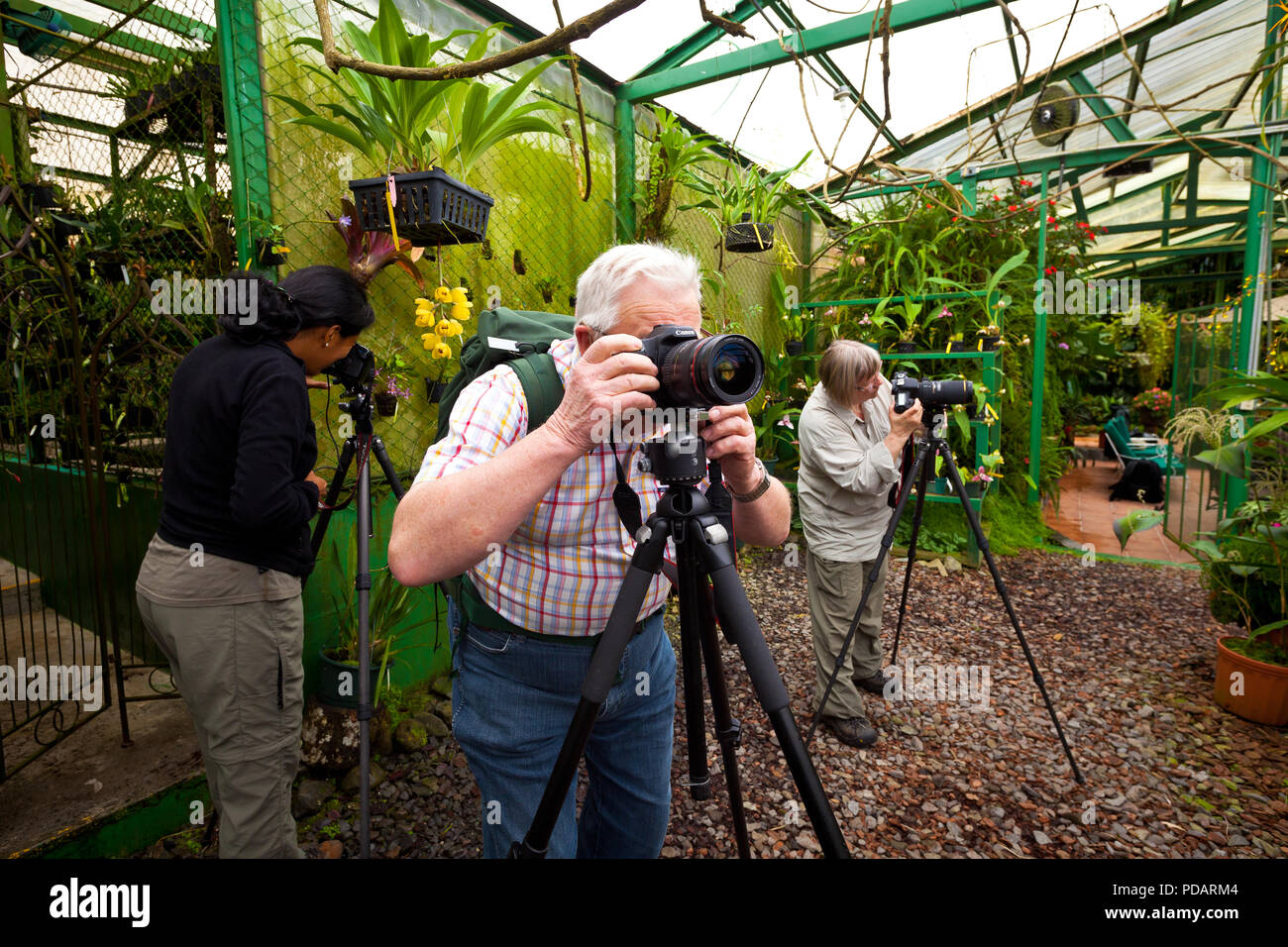Nature tourists are taking pictures of orchids at Finca Dracula orchid farm, Cerro Punta, Chiriqui province, Republic of Panama. Stock Photo