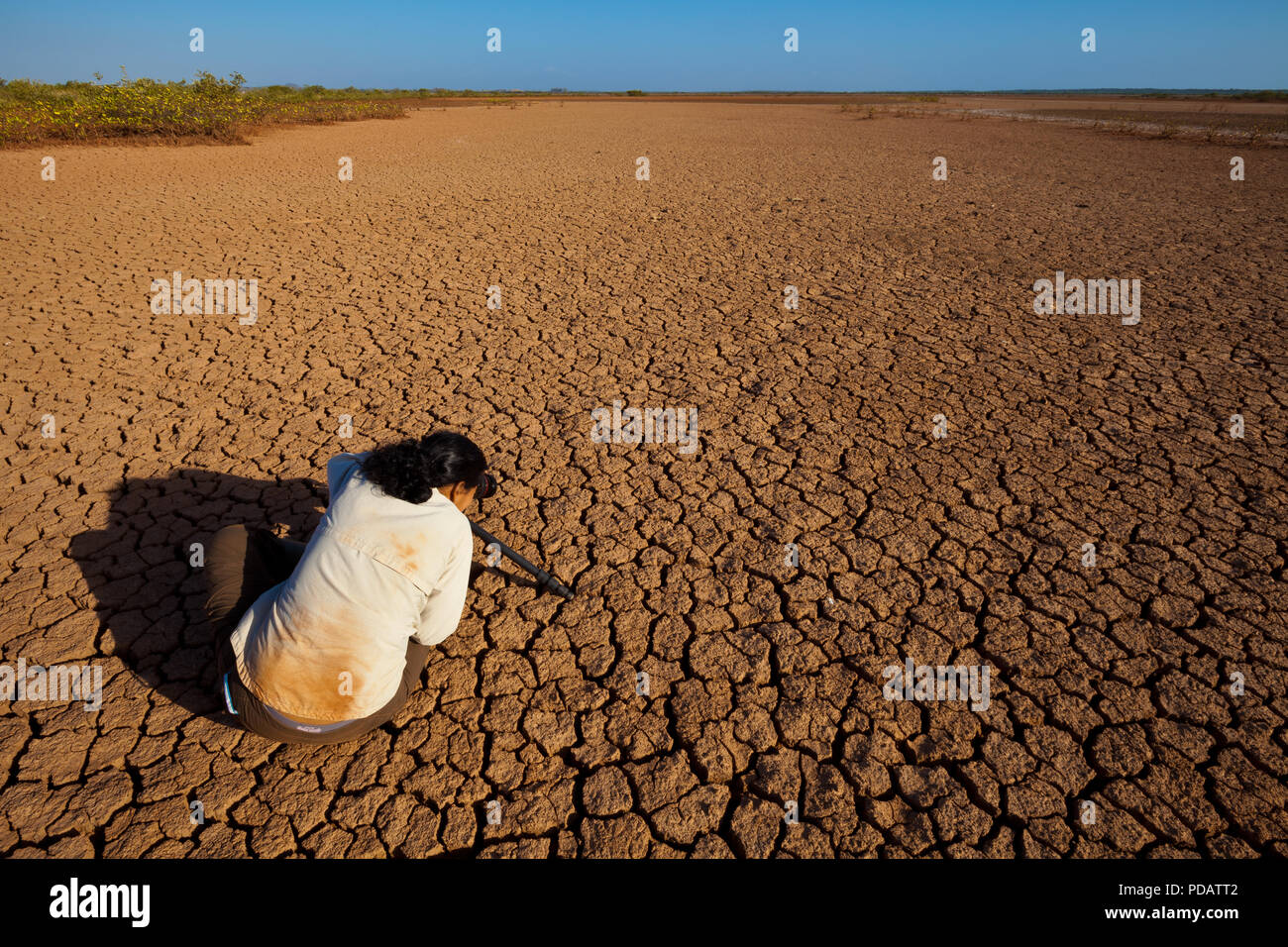 Panama landscape with outdoor photographer taking pictures of the cracked soil in the Sarigua desert, Herrera province, Republic of Panama. Stock Photo