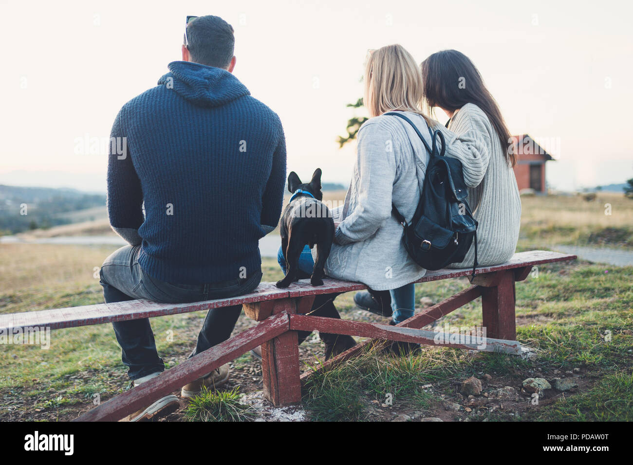 Small group of young people together with black French bulldog puppy siting on wooden bench and looking at sunset. Rear view. Stock Photo