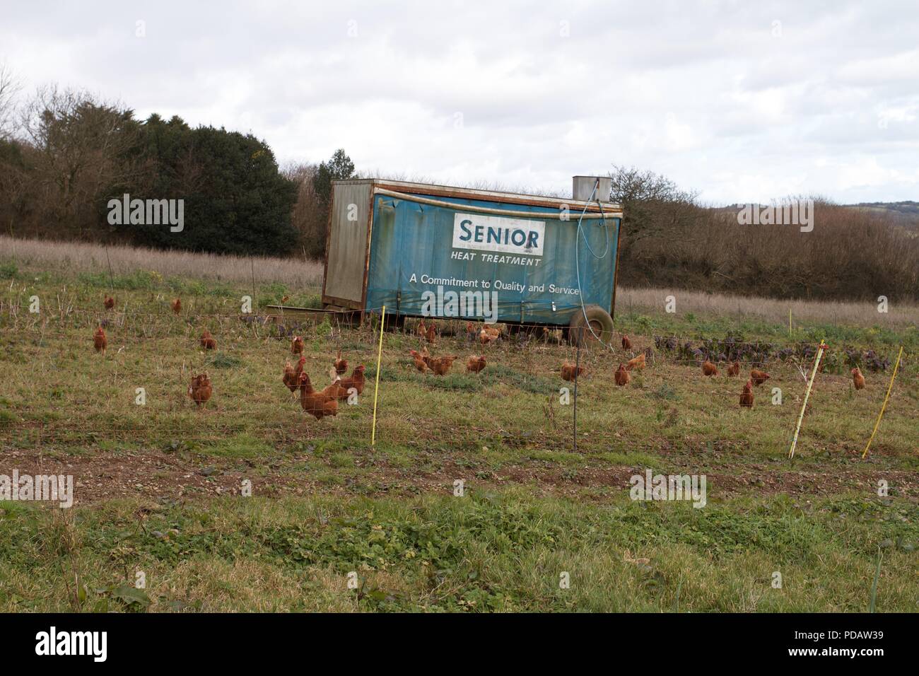 Sustainable Farming Stock Photo