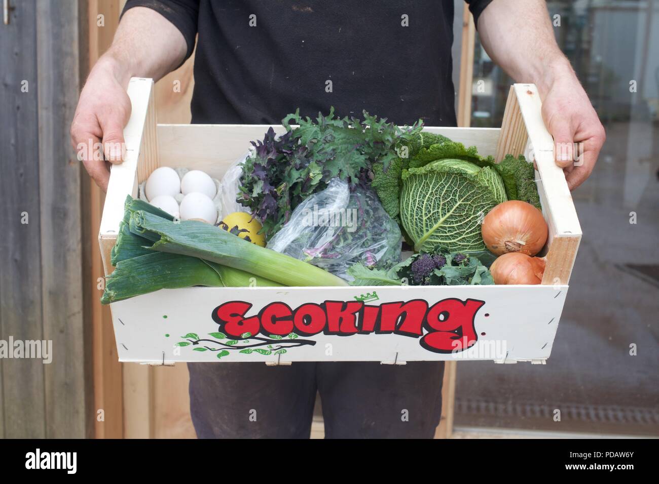 Vegetable box from Sustainable Farm Stock Photo