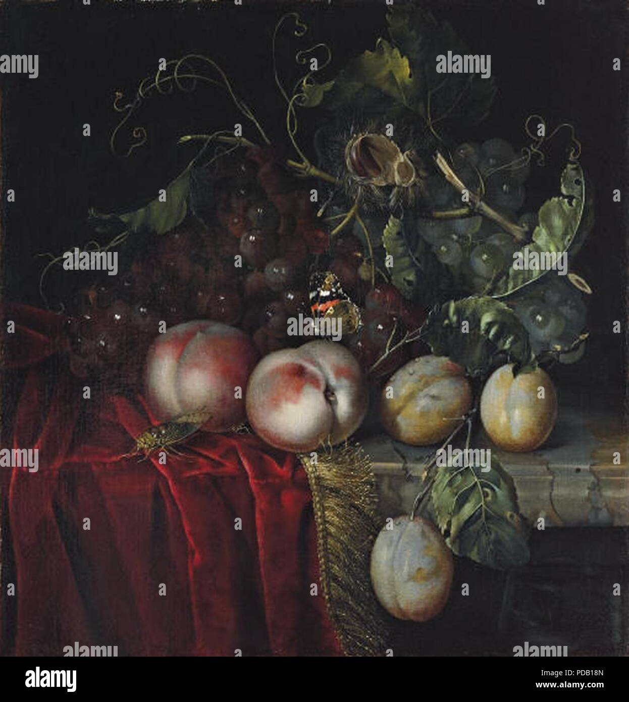 Anna Ruysch - A Bunch of Grapes Two Peaches Plums and a Chestnut with a ...