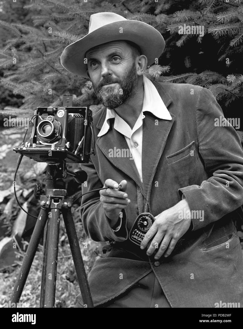 Ansel Adams and camera Stock Photo - Alamy