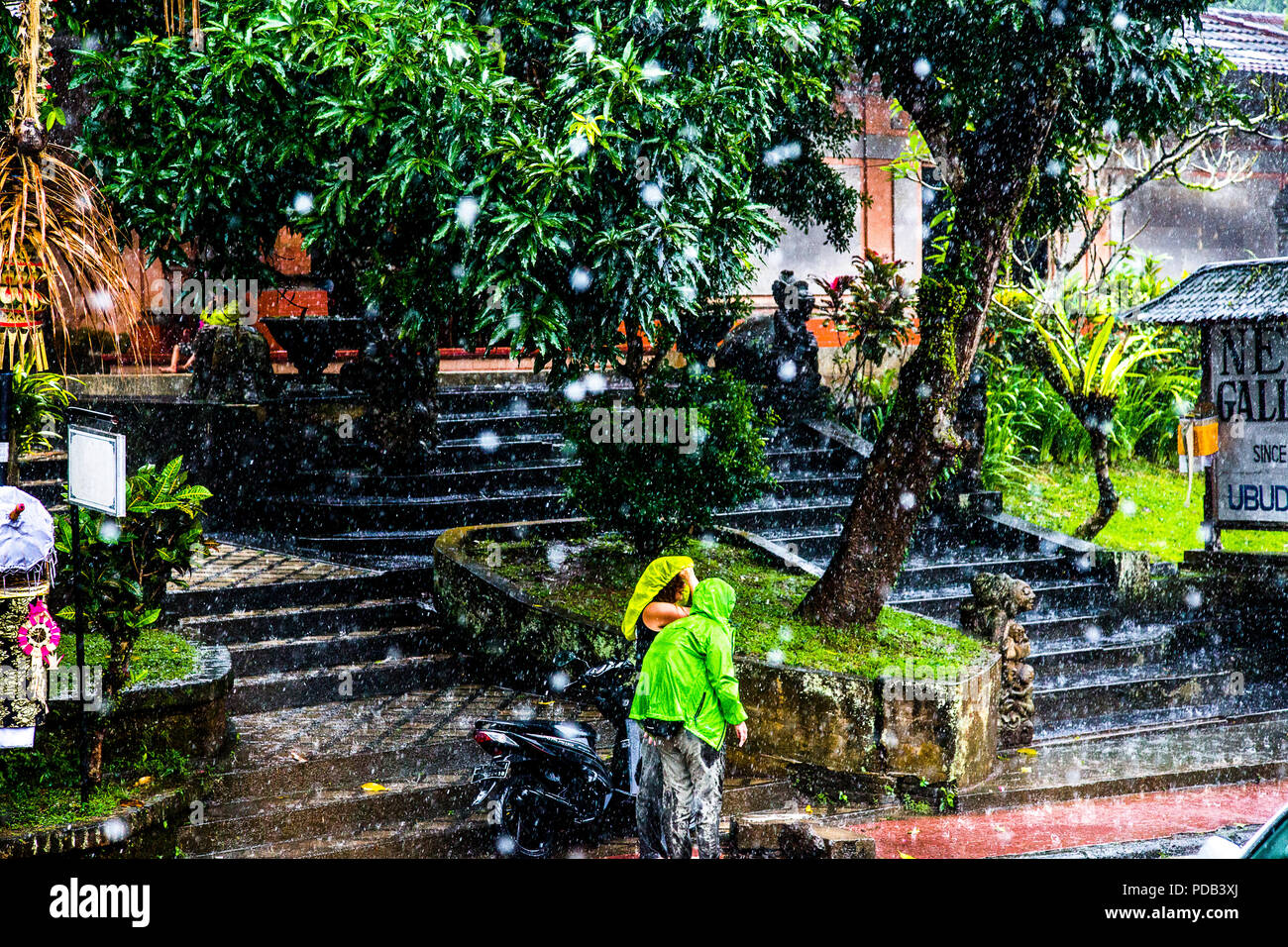 Two people in green rainwear in a tropcial downpour in Ubud, Bali. Fast Shutterspeed to freeze raindrops. Stock Photo