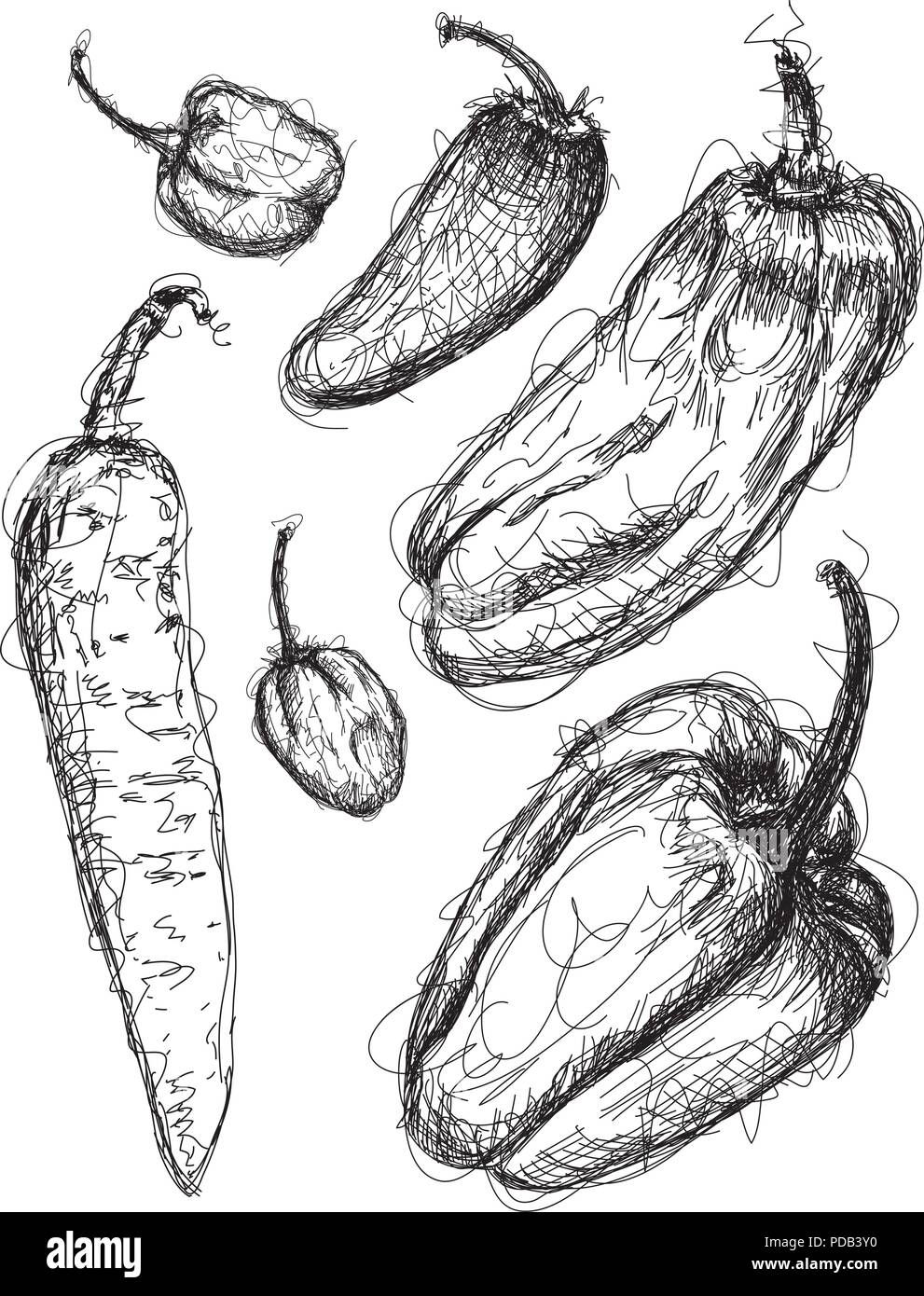 Chili pepper sketches Stock Vector