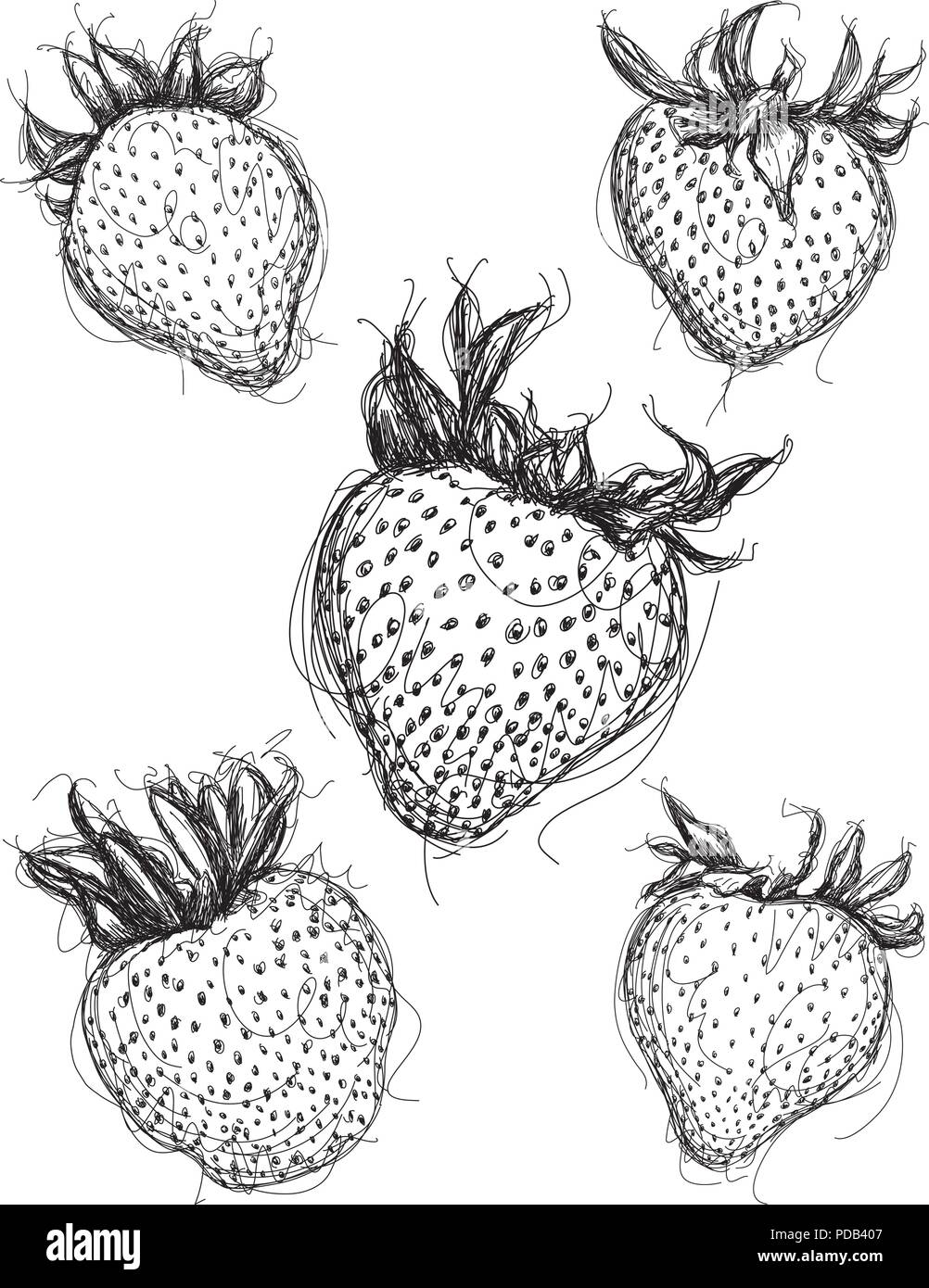Strawberry line art hi-res stock photography and images - Alamy