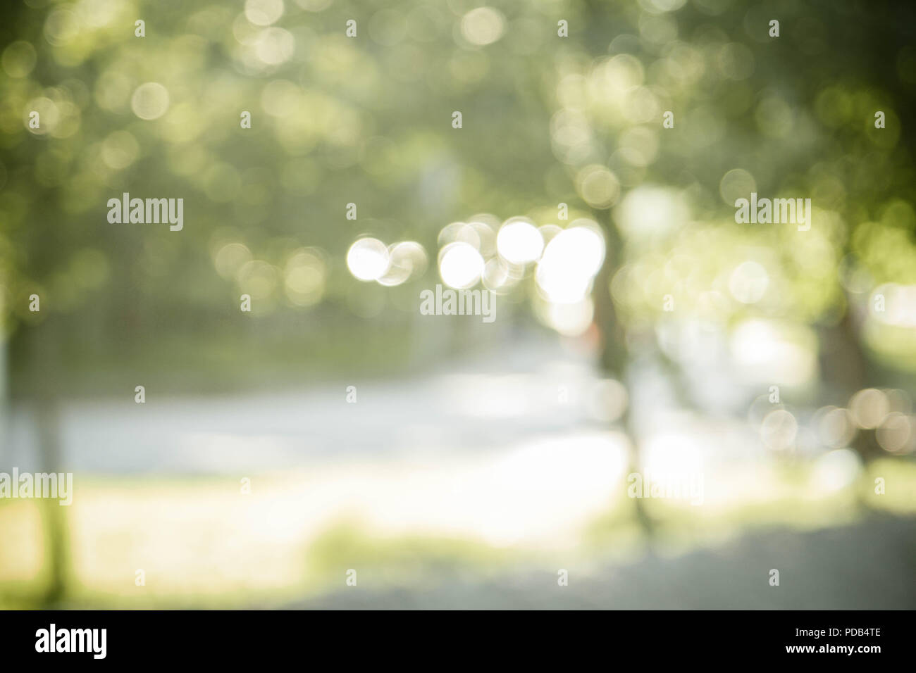 Natural green blurred background or bokeh background Stock Photo