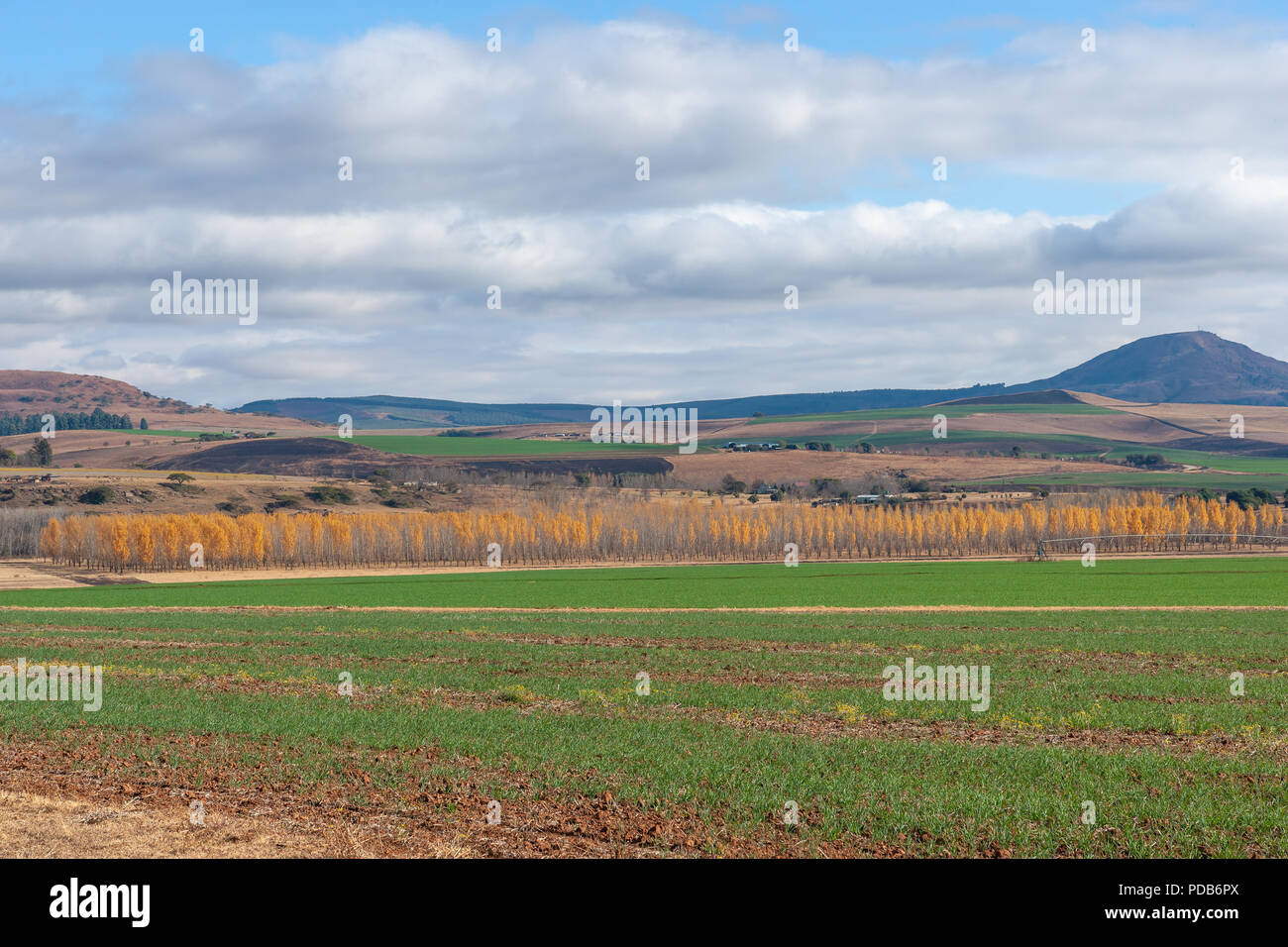 Drakensberg Mountains, Kwazulu Natal, South Africa Stock Photo - Alamy
