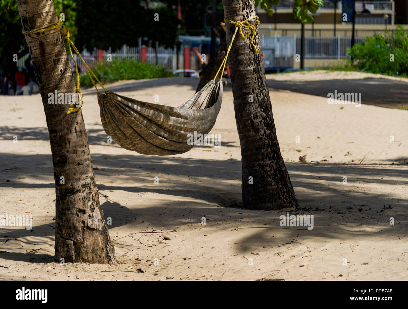 Beach with hammock and palm trees Isla Verda San Juan Puerto Rico Caribbean  Stock Photo - Alamy