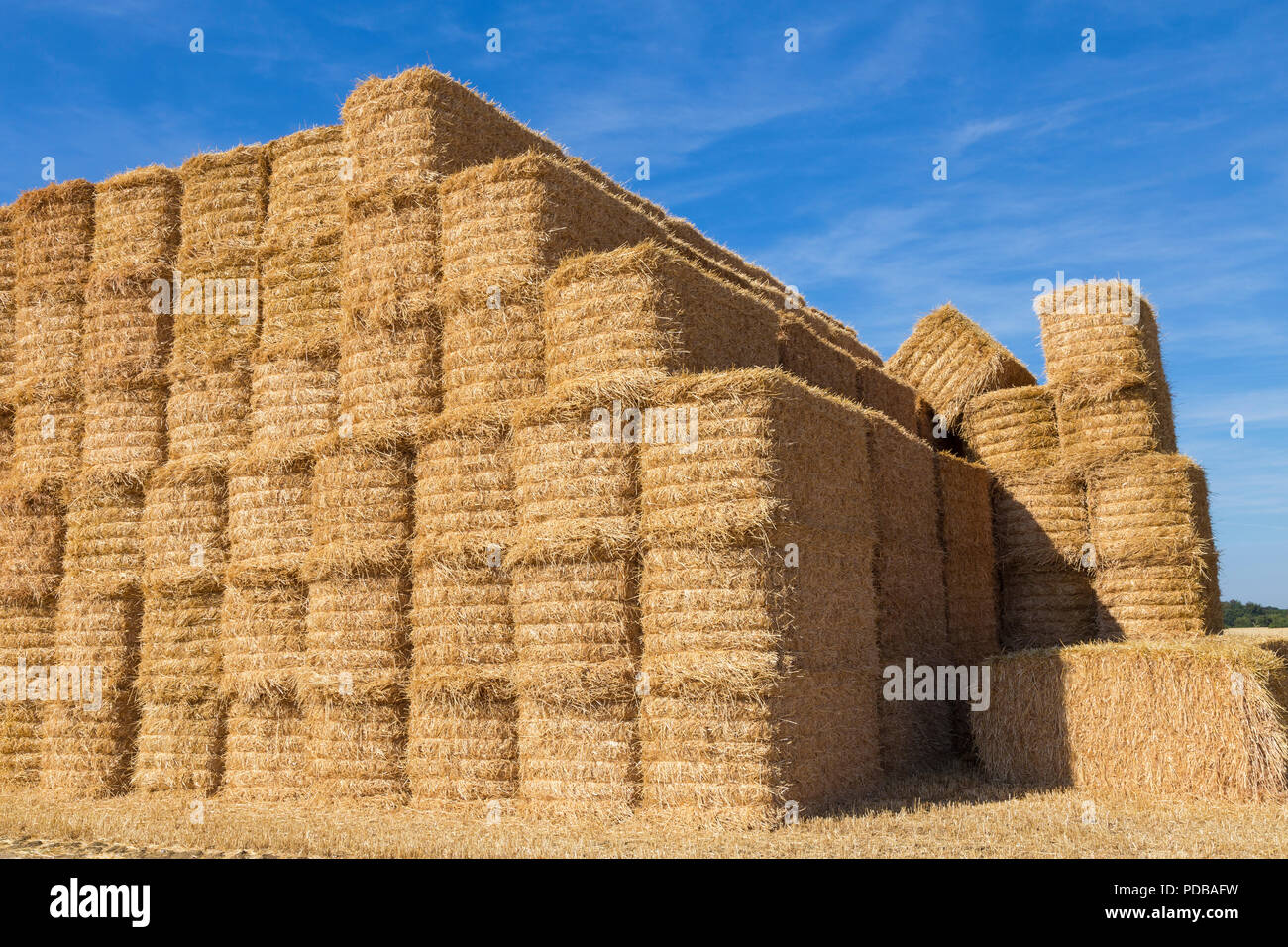 Stack of corn straw bales Stock Photo