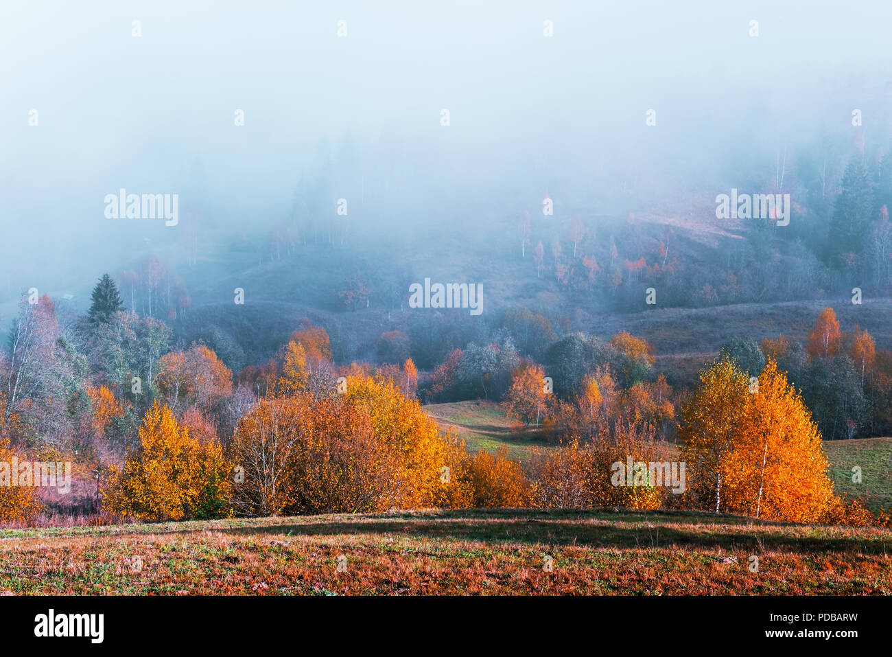 Amazing scene on autumn mountains Stock Photo