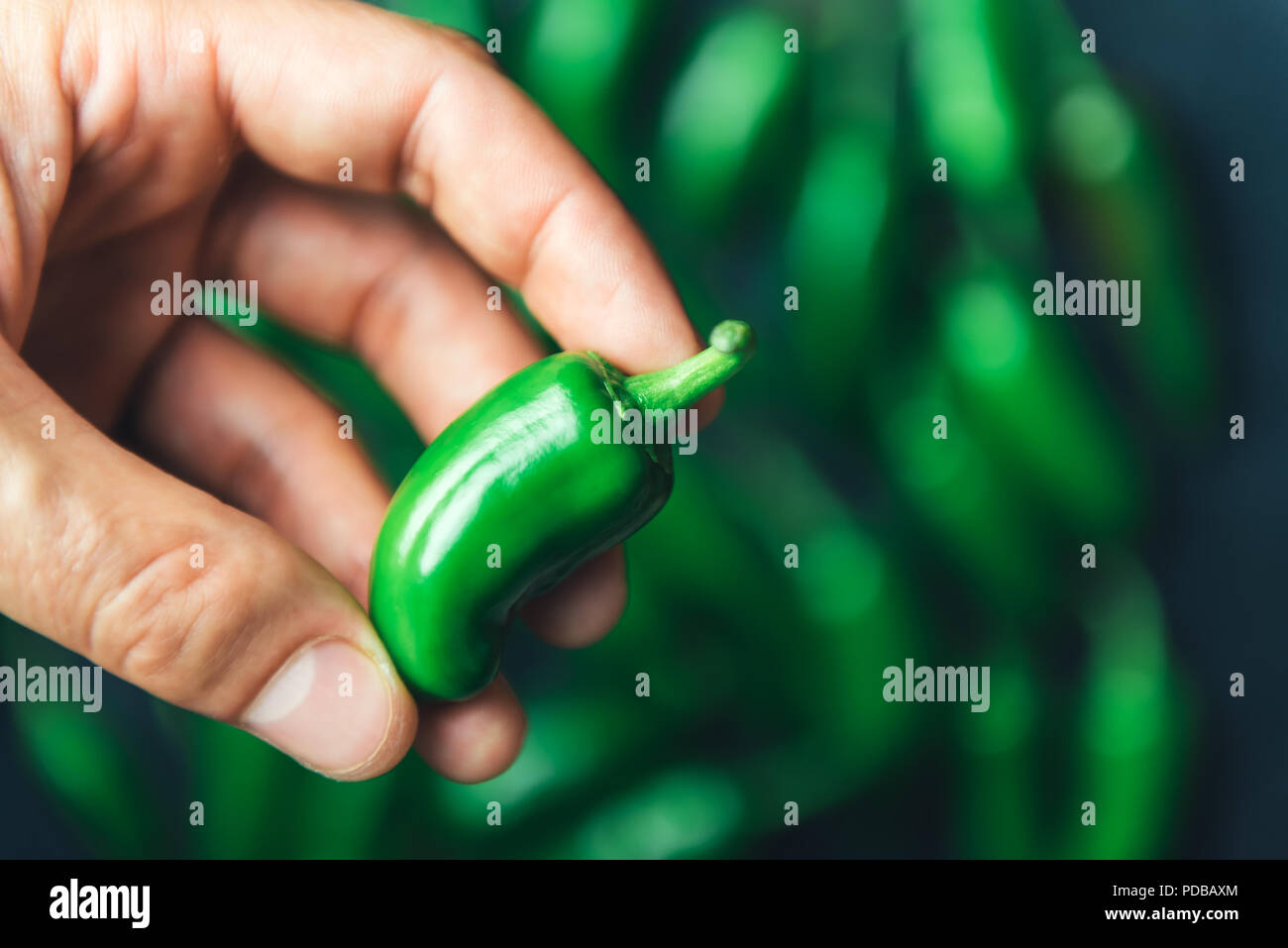 Green jalapeno hot pepper in hand closeup Stock Photo