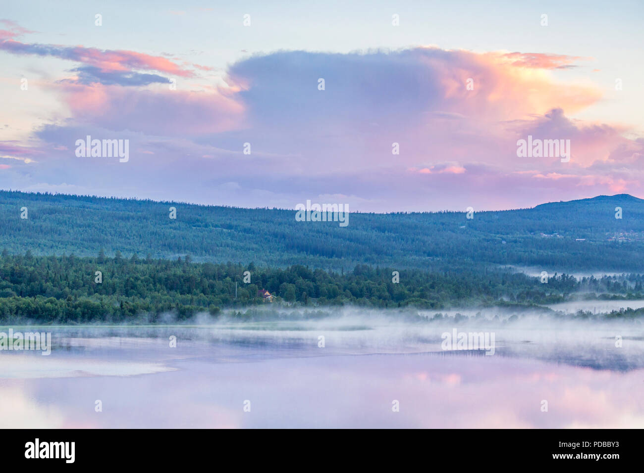 Morning fog over boreal forest hi-res stock photography and images - Alamy