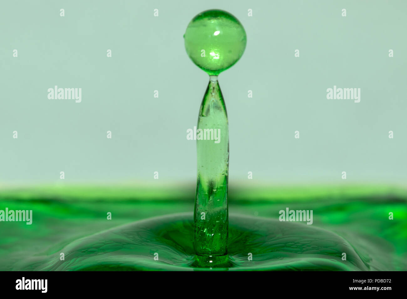 Water drop macro photography Stock Photo Alamy