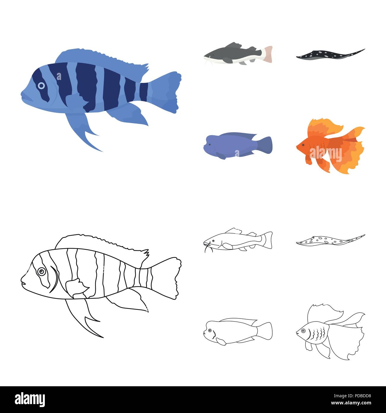 Frontosa, cichlid, phractocephalus hemioliopterus.Fish set collection icons in cartoon,outline style vector symbol stock illustration . Stock Vector