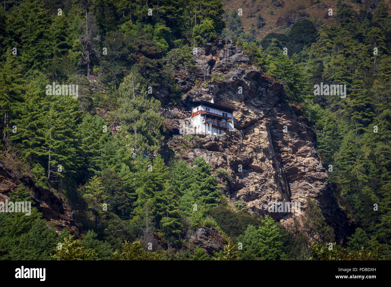 Bhutanese-style residential building surrounded by forest, Bhutan. Stock Photo