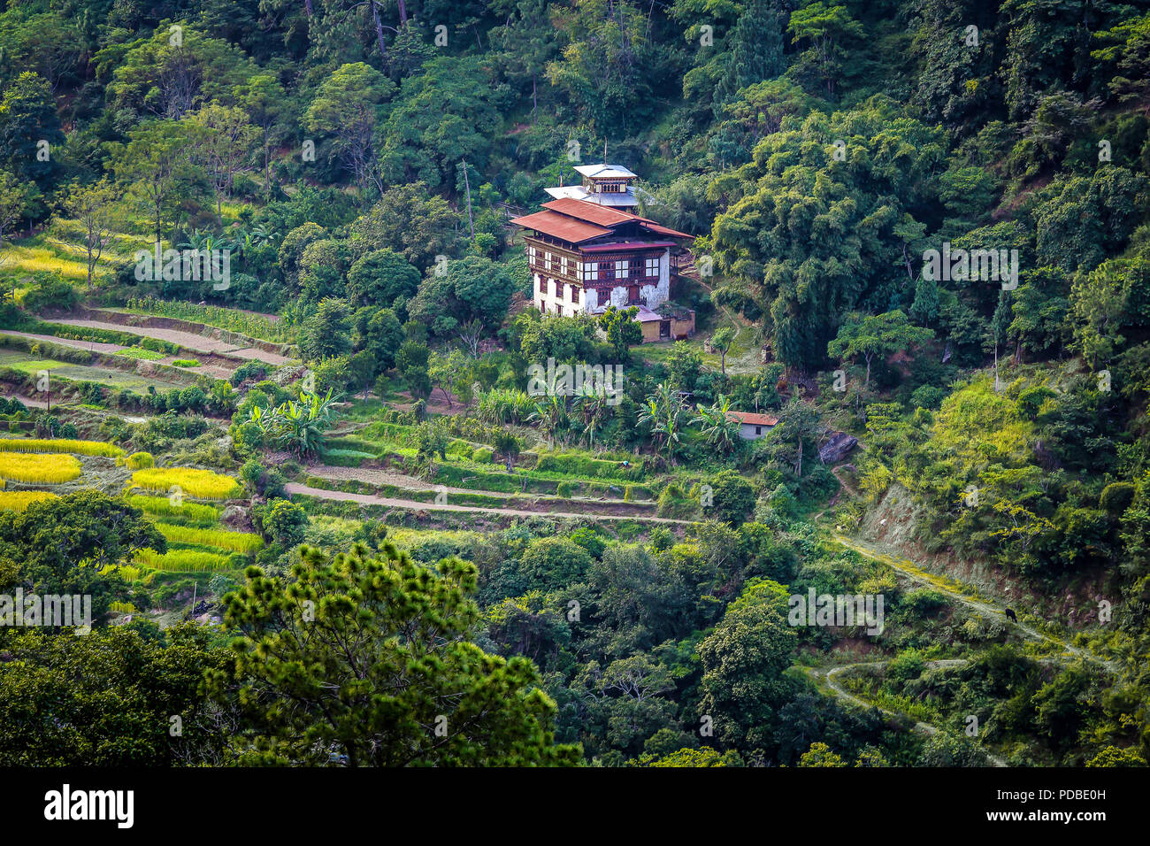 Lowland Rice Terraces Landscape with rice terraces Stock Photo - Alamy