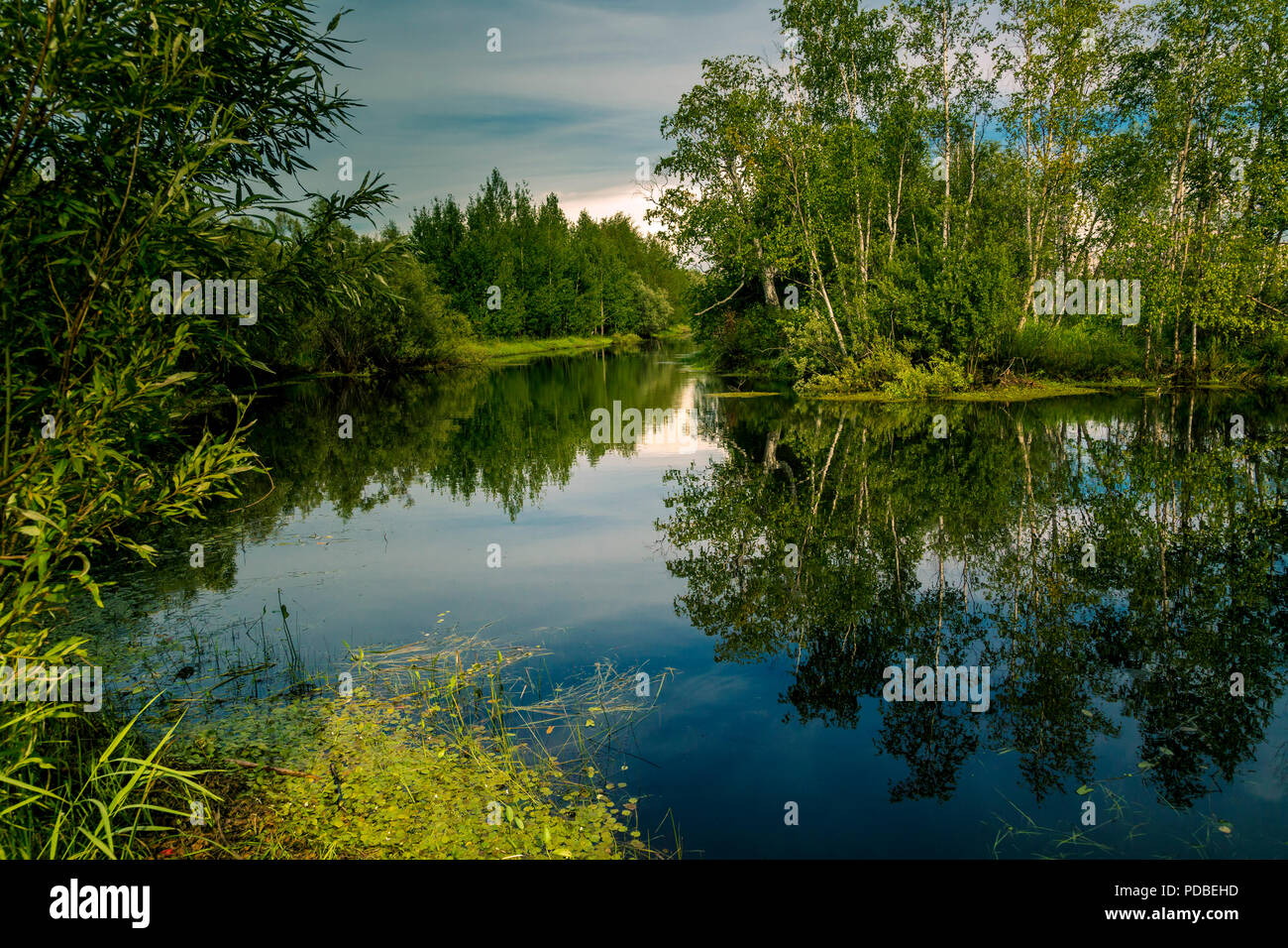 Dense vegetation along banks hi-res stock photography and images - Alamy