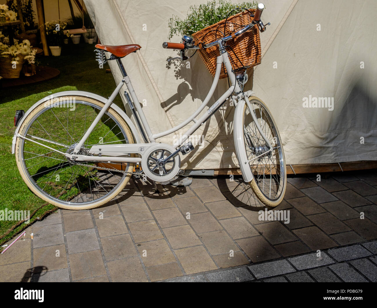 Ladies white bike with basket cheap