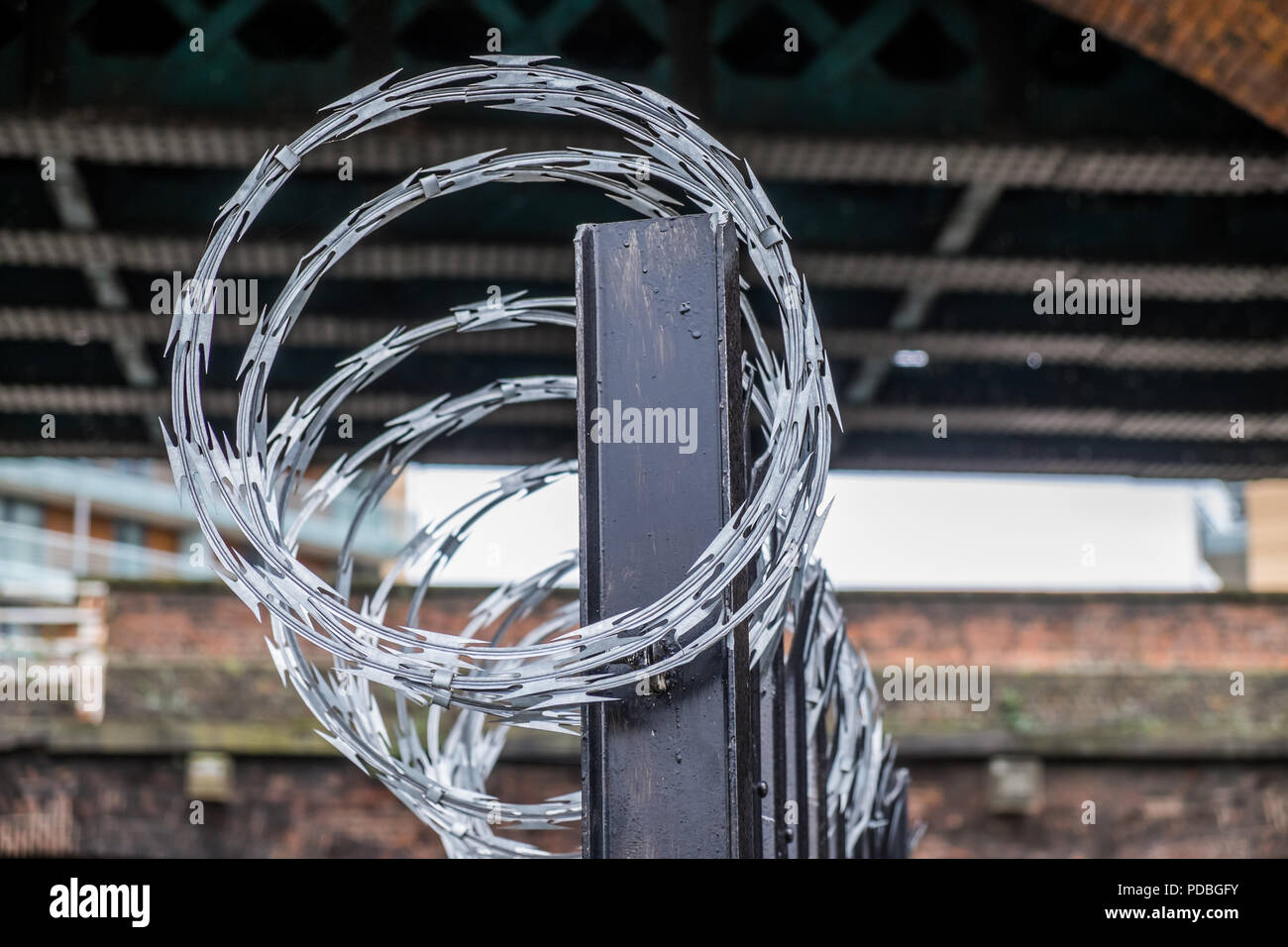 Razor wire on top of metal fencing used as a deterrent to keep people out of the premises. Stock Photo