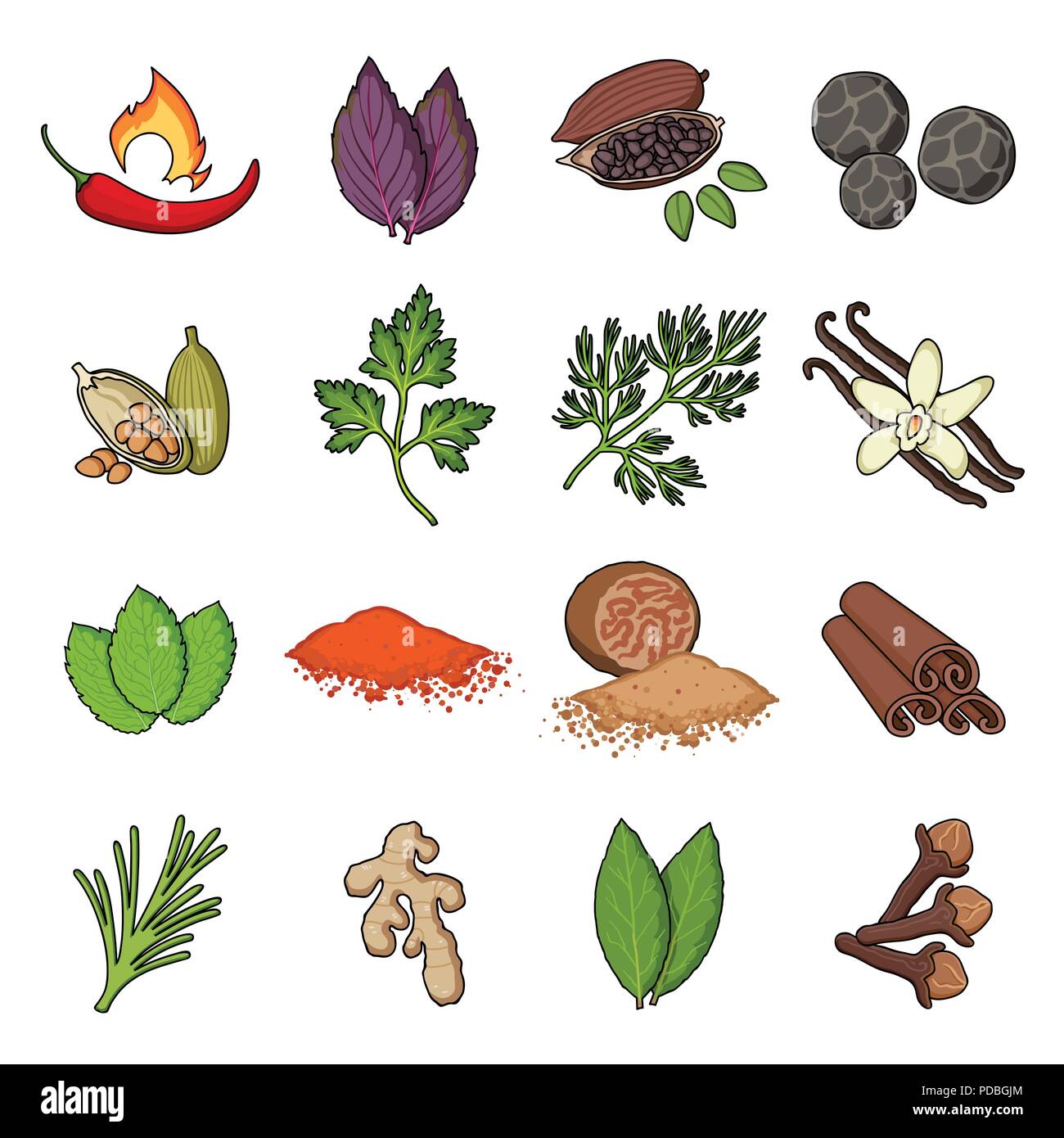 Herb and spices cartoon icons in set collection for design.Different