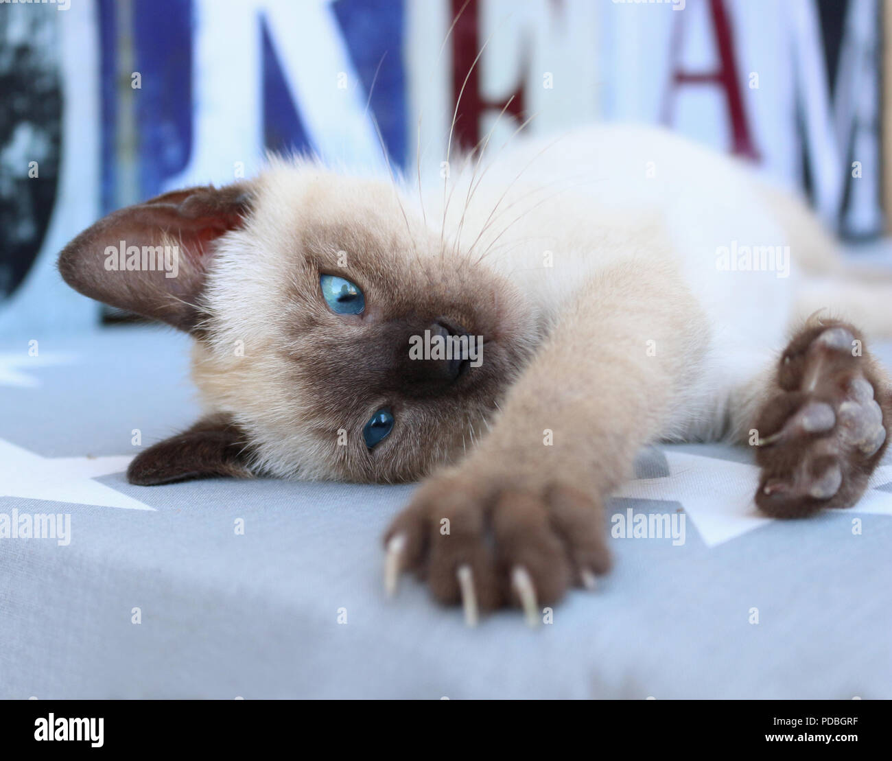 Thai Letters High Resolution Stock Photography And Images Alamy