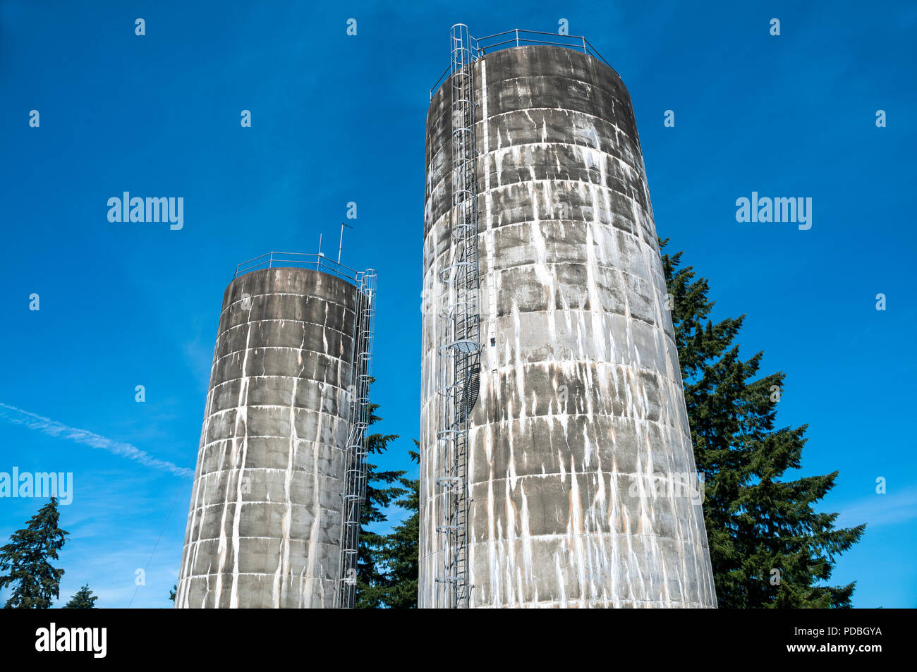 The concrete water towers that service Winlock, Washington Stock Photo
