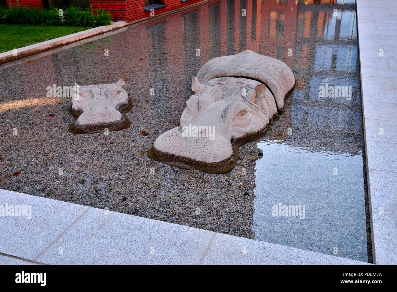 Fun public sculpture of hippo in shallow water feature pool by office