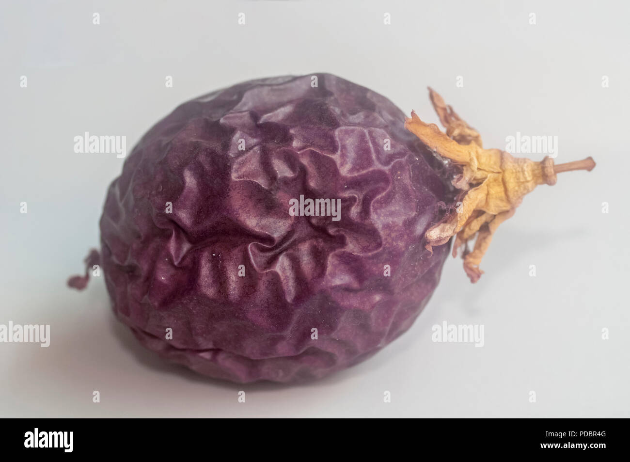 whole ripe Passion Fruit (Passiflora Stock Photo Alamy