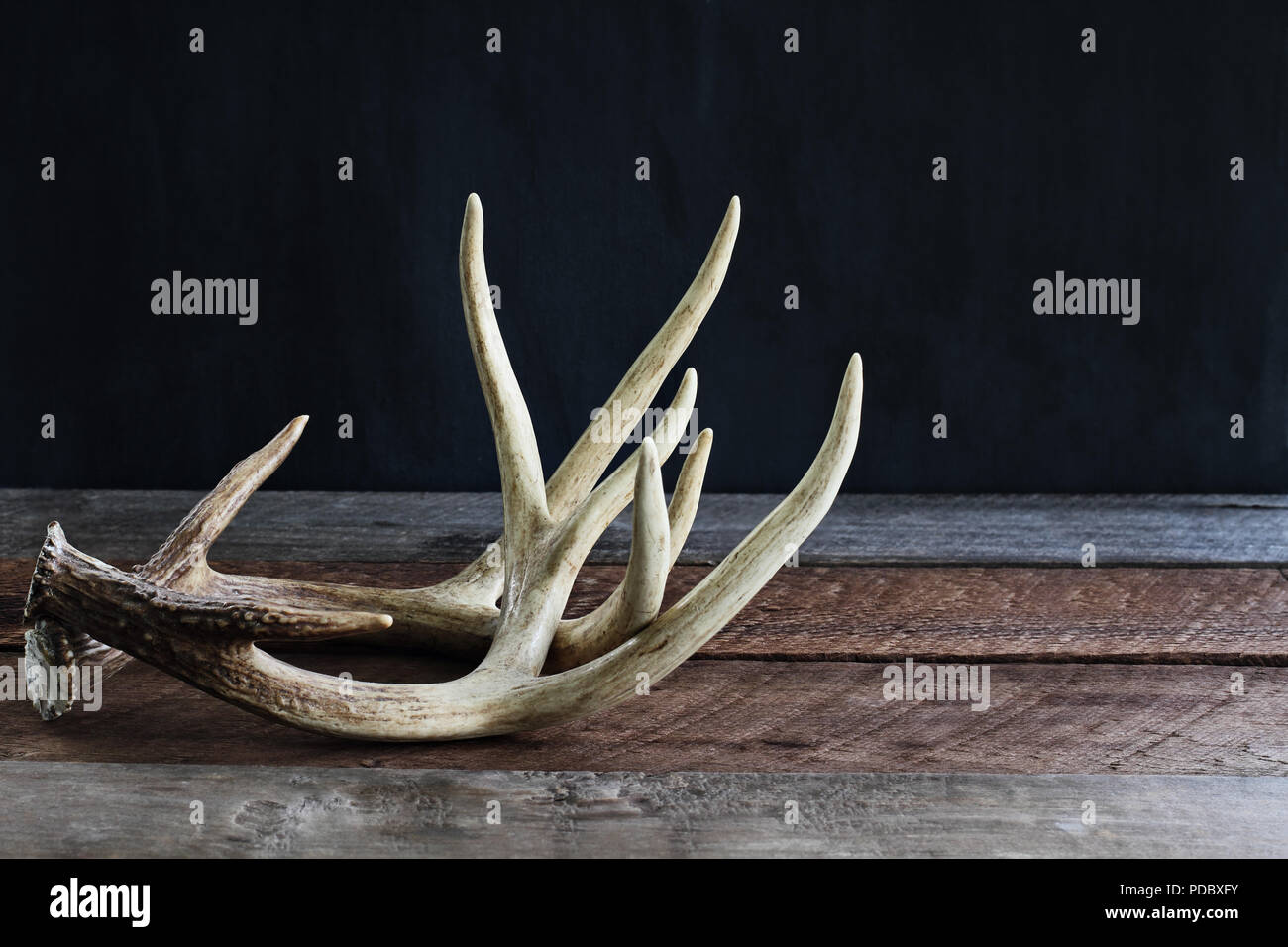 Bucks antler hires stock photography and images Alamy
