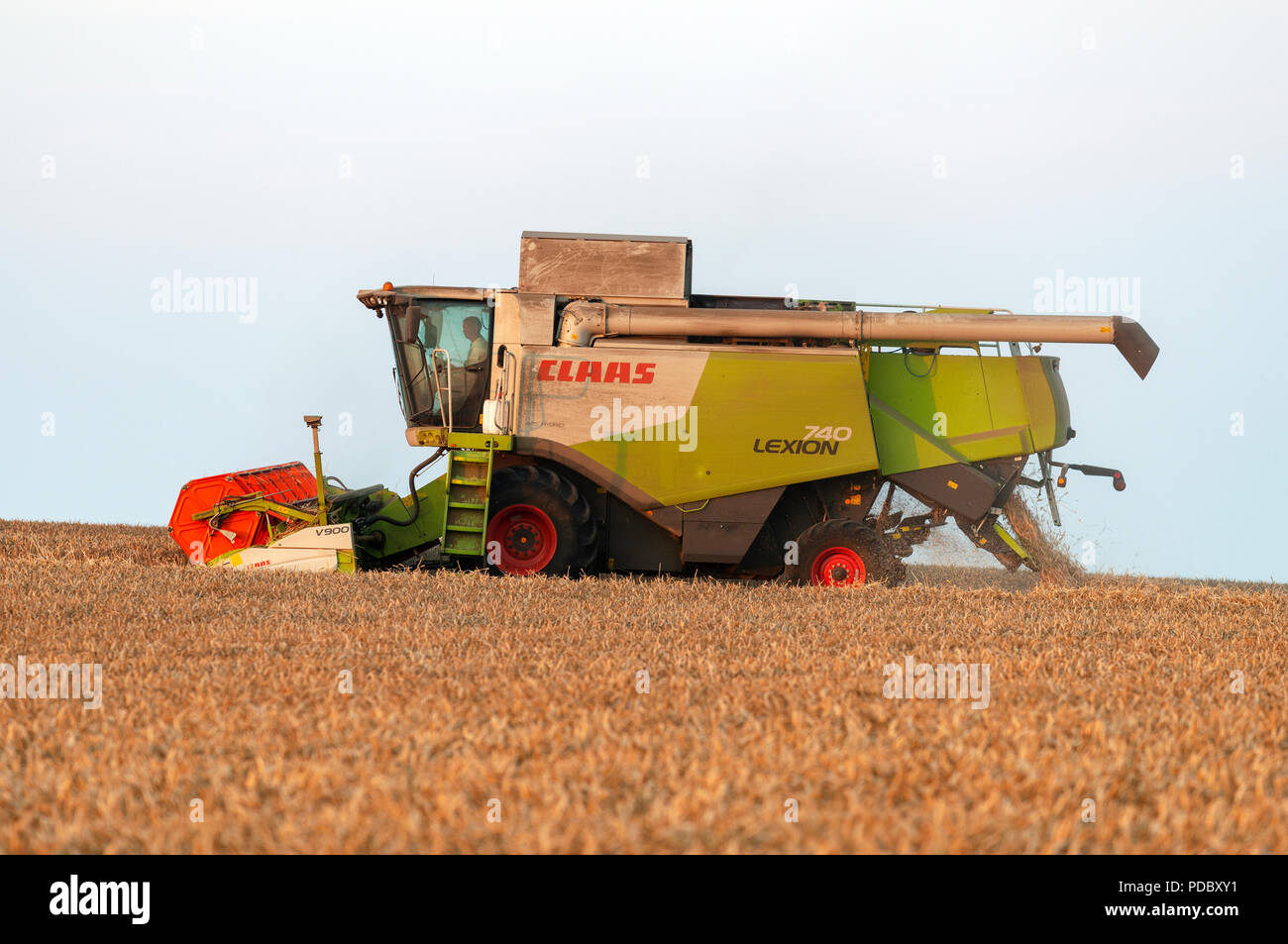 Wheat harvest, Bawdsey, Suffolk, England. Stock Photo