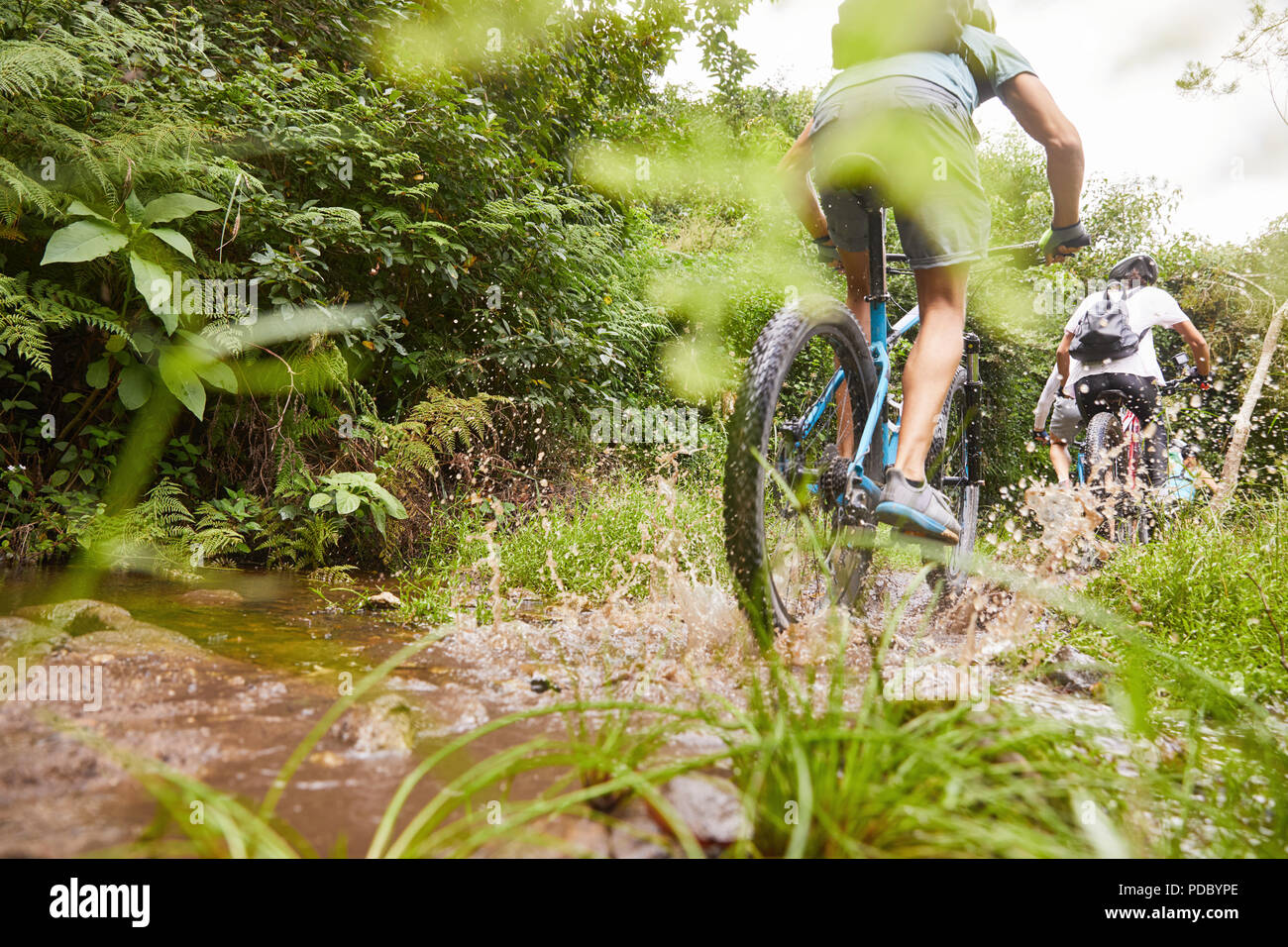 Man mountain biking, splashing on muddy trail Stock Photo