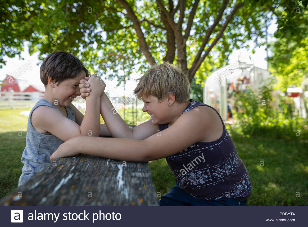 Brothers arm wrestling under tree Stock Photo Alamy