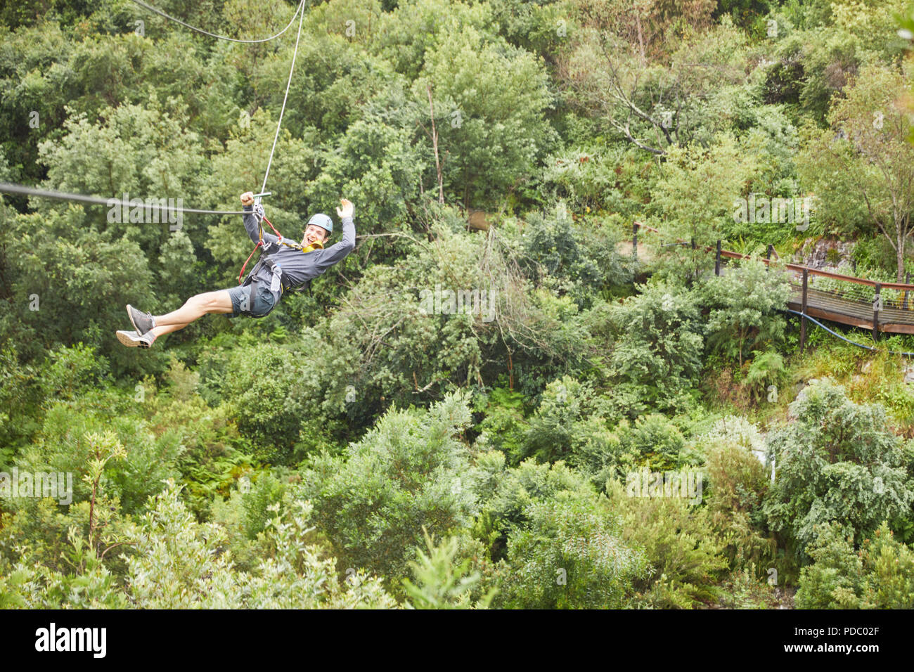 Portrait carefree man zip lining above trees Stock Photo