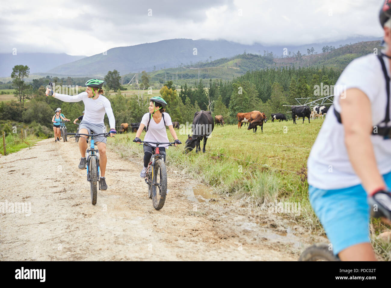 Friends mountain biking on rural dirt road along cow pasture Stock Photo