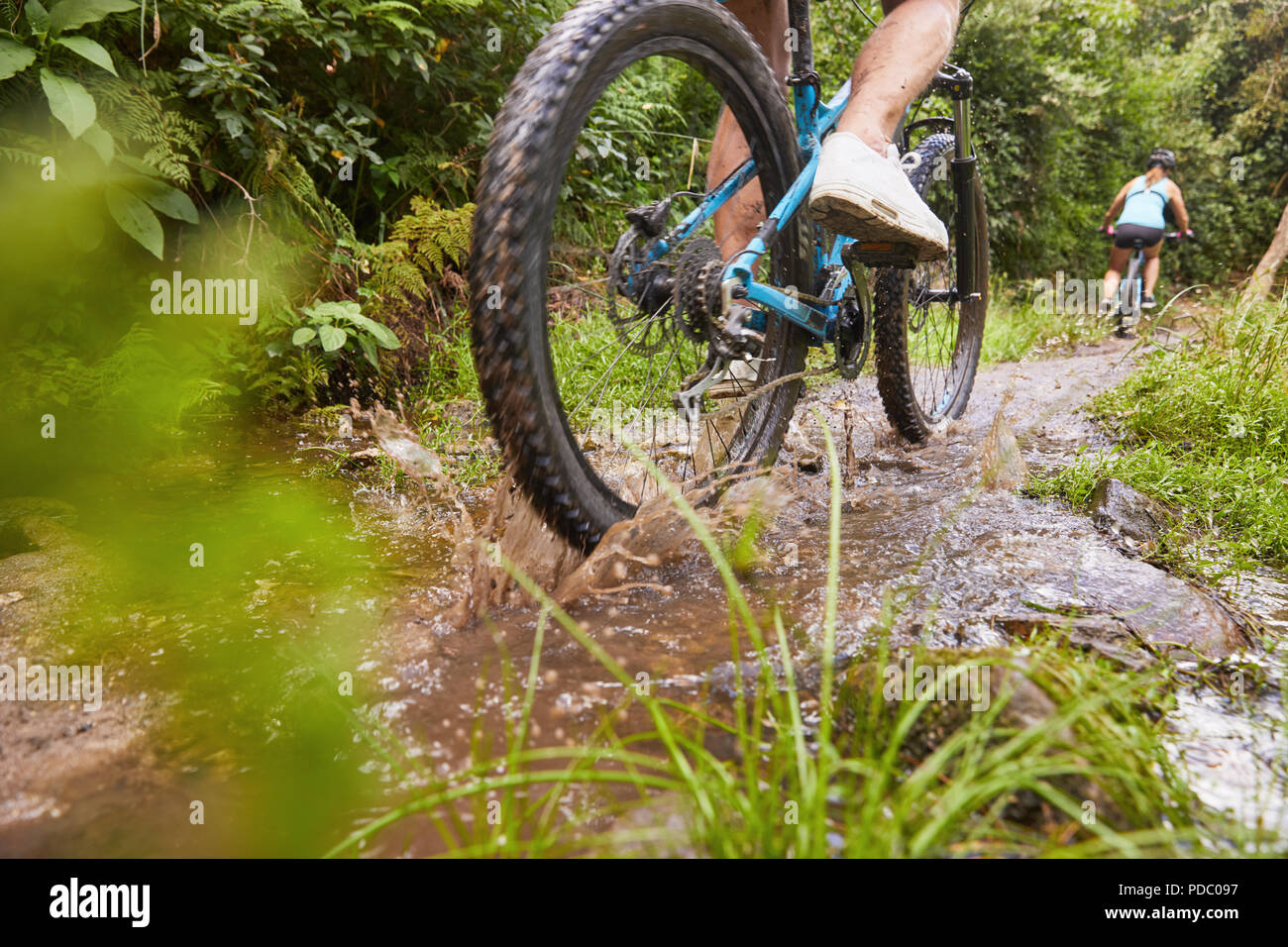 Man mountain biking, riding through puddle in woods Stock Photo