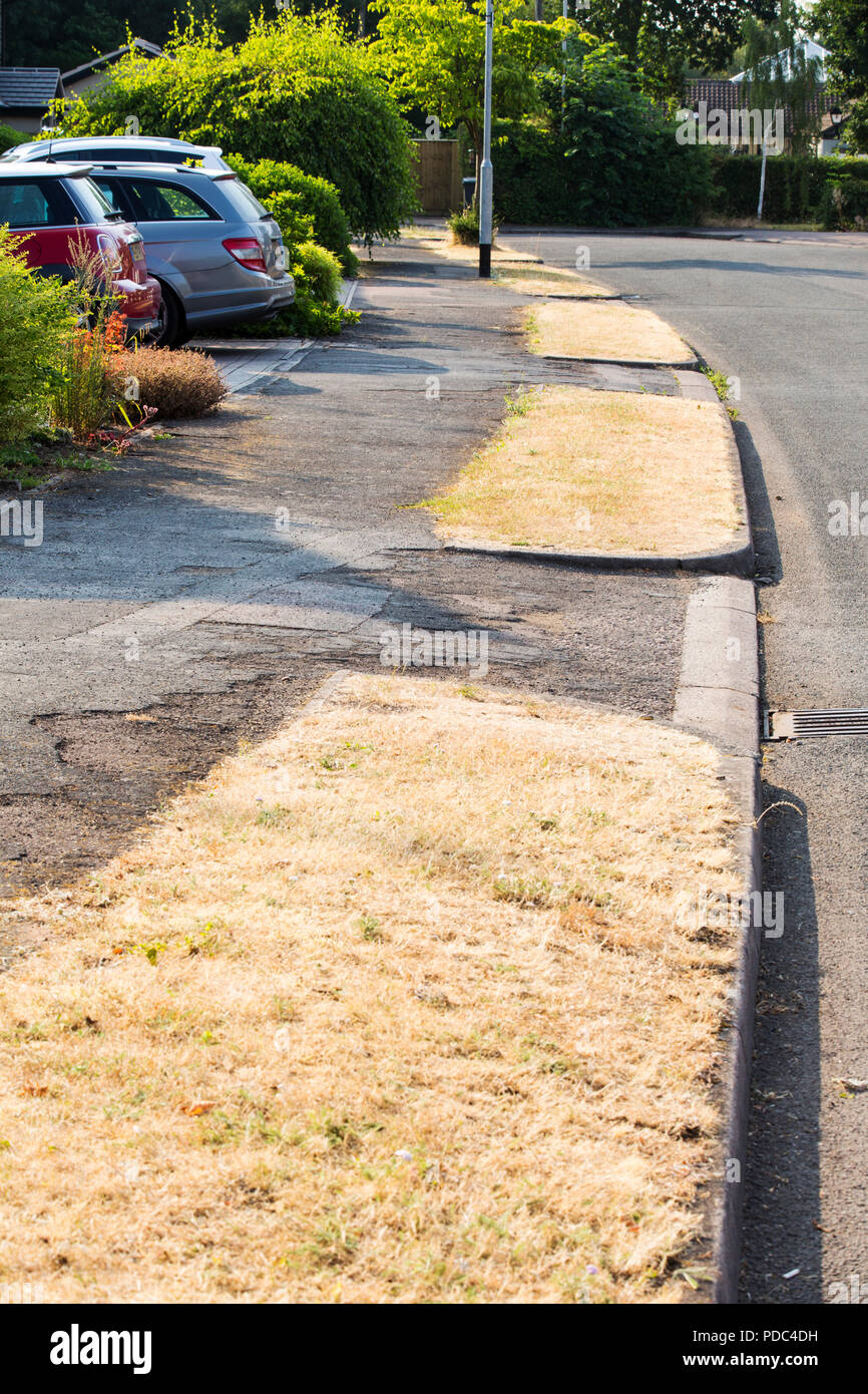Roadside verges and gardens hi-res stock photography and images - Alamy
