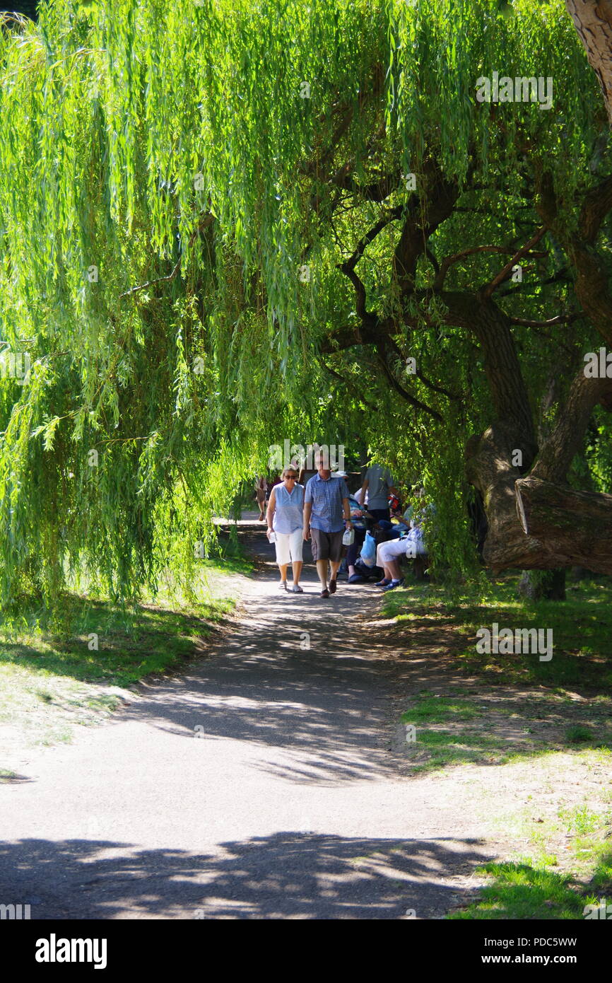 Walk in the Park Under a Weeping Willow Tree. The Byers Riverside Park, Sidmouth, East Devon, UK. August, 2018. Stock Photo