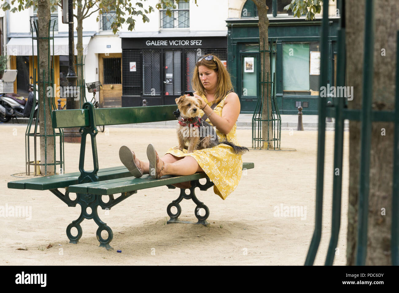 Paris woman and dog - Parisian woman holding dog in her lap, checking phone at the Dauphine square in Paris, France, Europe. Stock Photo