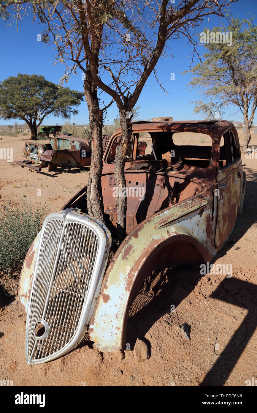 A tree appears to grow through the bonnet of a wrecked vintage Citroen car photographed at the Canyon Roadhouse, Namibia. Stock Photo