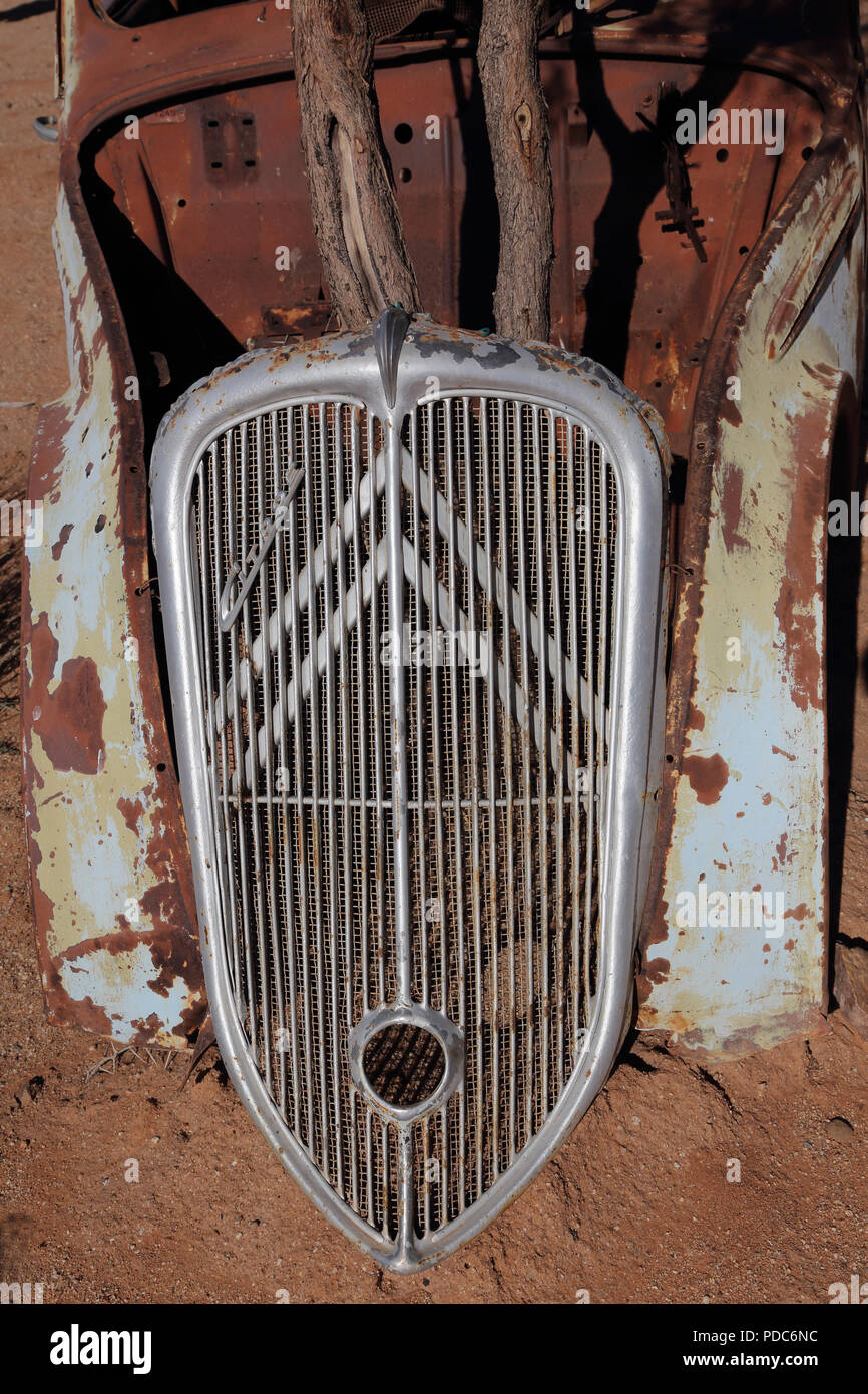 A tree appears to grow through the bonnet of a wrecked vintage Citroen car photographed at the Canyon Roadhouse, Namibia. Stock Photo