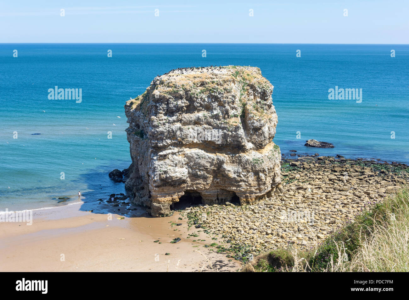 Marsden Rock, Marsden Bay, Coastal Road, Marsden, South Shields, Tyne and Wear, England, United Kingdom Stock Photo