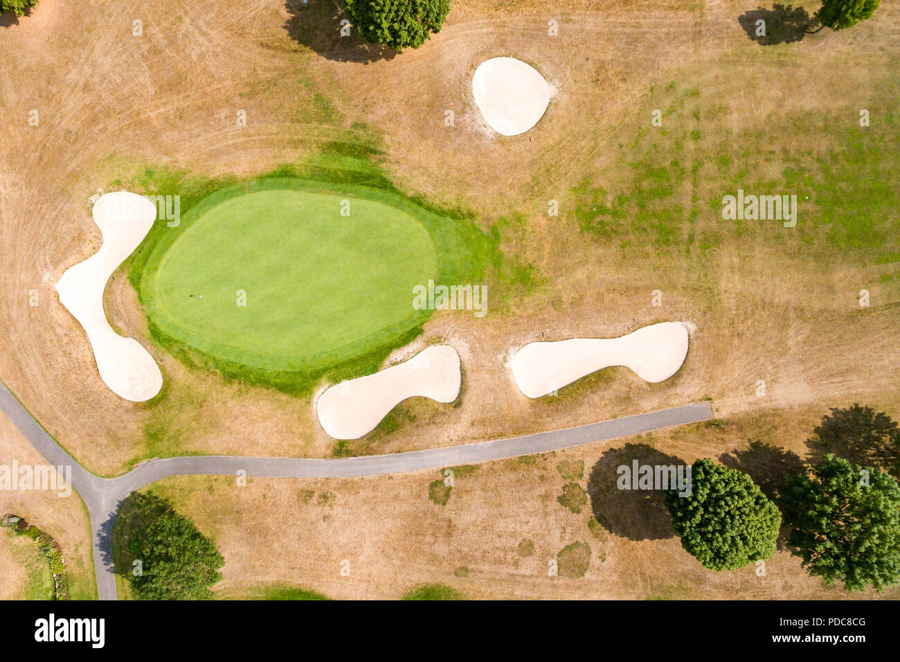 08 August 2018, Germany, Luhe-Wildenau: Green areas at the Golfclub  Schwanhof have dried up. The farm only irrigates the tees and holes of the  course due to the persistent drought. (shot with